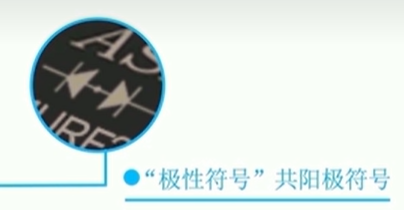 微信圖片_20240607152053